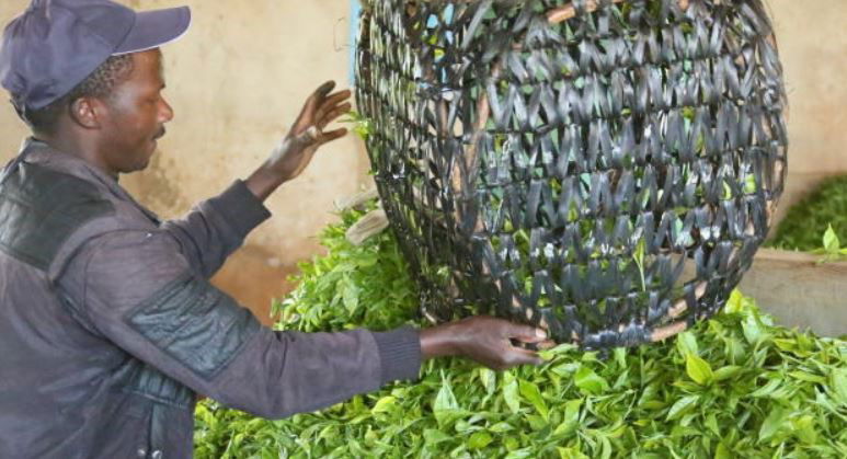 KTDA's concerns on new Tea Act