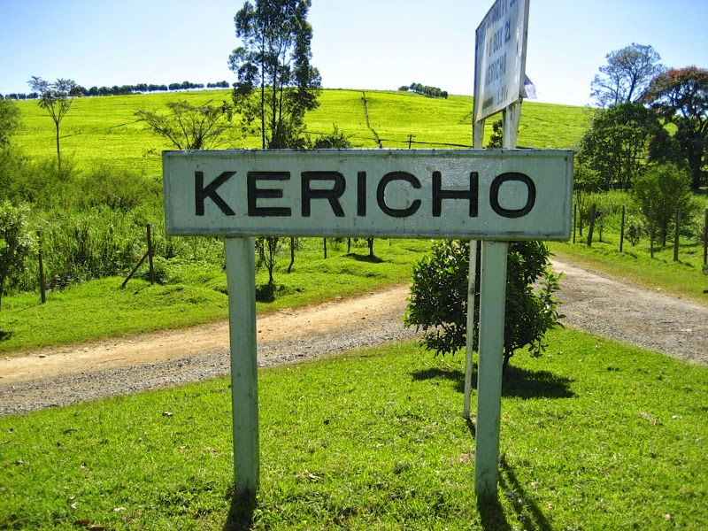 Kericho tea can be a key tourist attraction