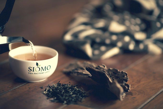 As tea production grapples with climate change, a Kenyan company forges ahead