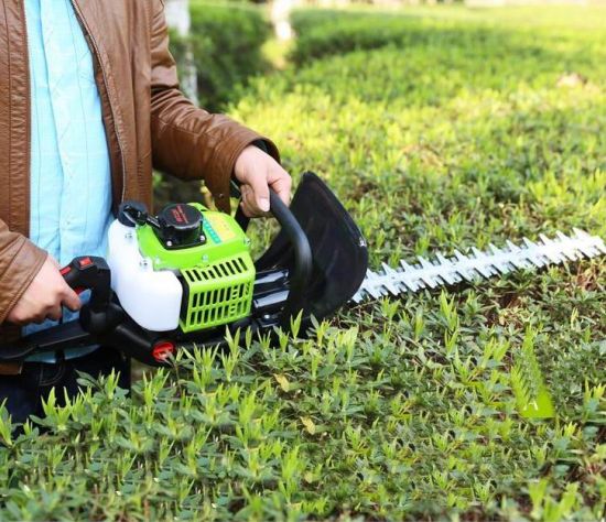 Tea plucking machines leave thousands jobless