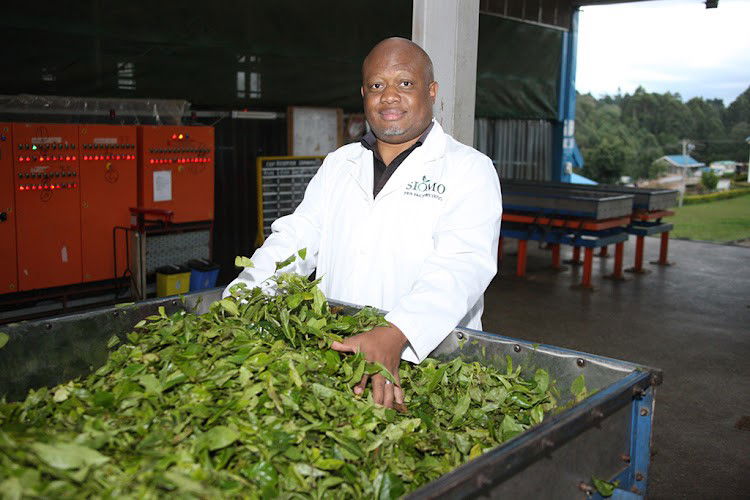 Incubation centre boosts private factories entering tea business
