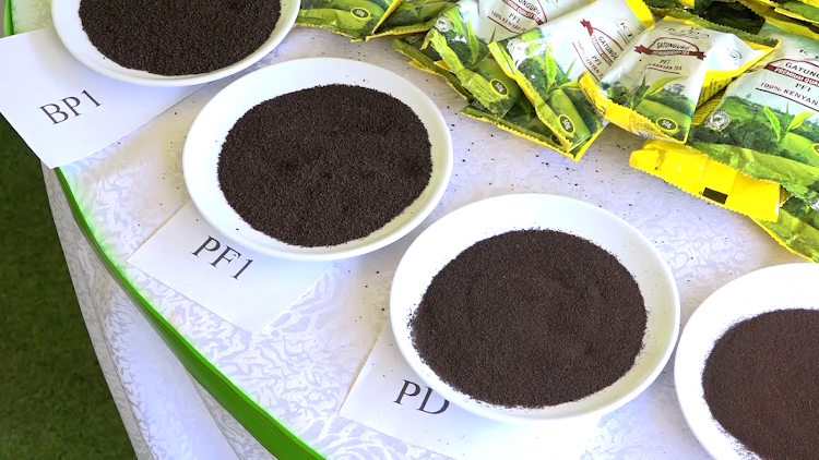 Allow us to sell tea directly, Murang'a farmers urge state