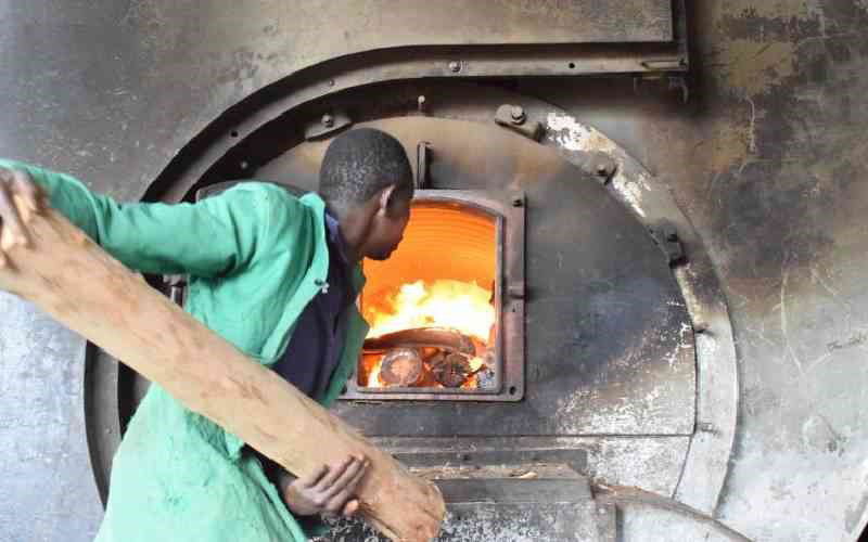 Tea factories seek to sell idle land bought to grow trees for firewood