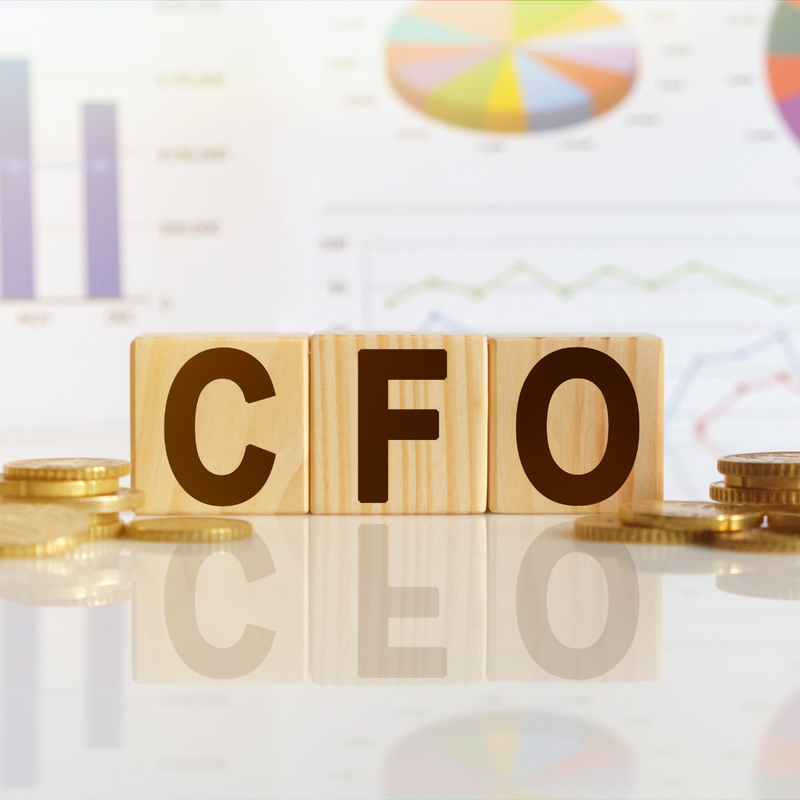 Navigating Financial Waters with Shore Source Business Solutions: The Value of a Virtual CFO