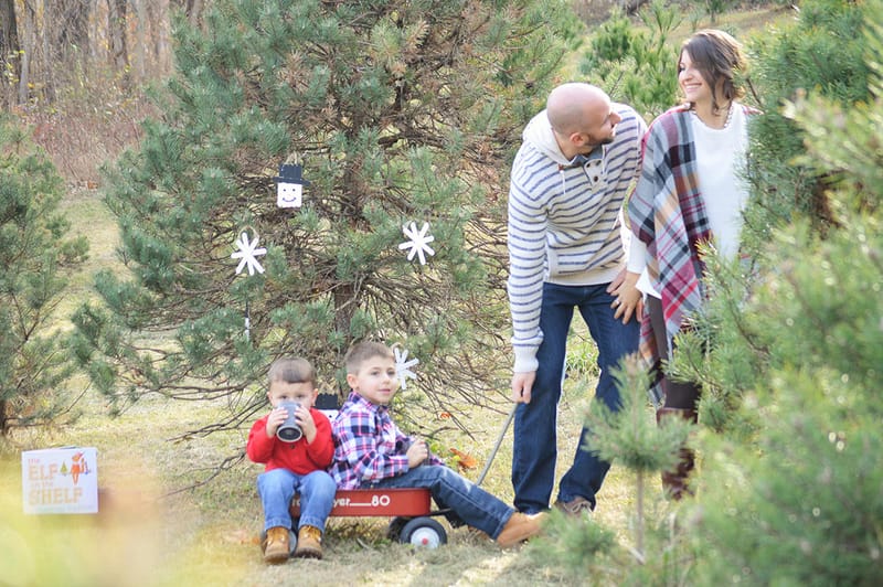 Holiday & Mini Sessions