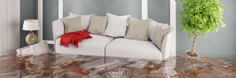 Are You Tensed With The Wet Carpets At Home?