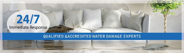Restricting Mold and Mildew Development by avoiding water damages