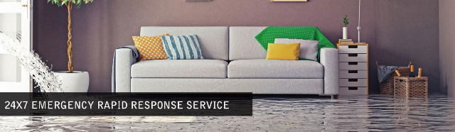 These Techniques Will Help You to Take the Carpet Cleaning Tasks Immediately