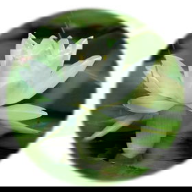 CHI SIAMO image
