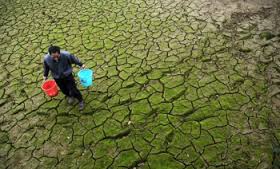 DRY HOPES