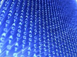 FACTORS THAT AFFECT ALLELE FREQUENCIES