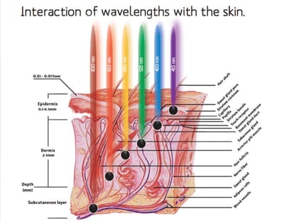 LED Phototherapy image