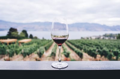 An Honest Review of the Luis Felipe Edwards Cabernet Sauvignon