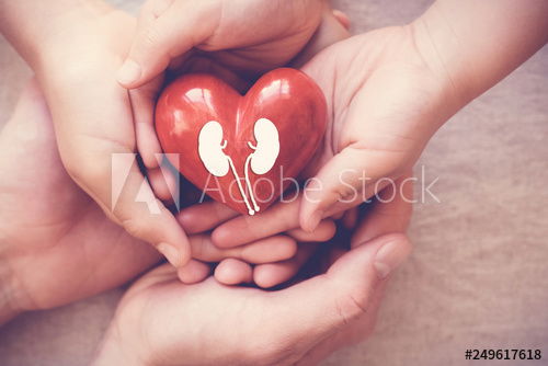 Urinary Incontinence: What You Need To Know About It