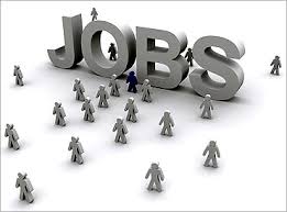 Community & Government Support Jobs and Services