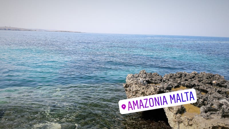 Segunda semana - Miguel