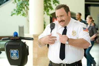 Why You Cannot Afford To Ignore the Functions of the Security Guards