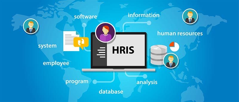 When Should a Business Have HR Software Solutions?