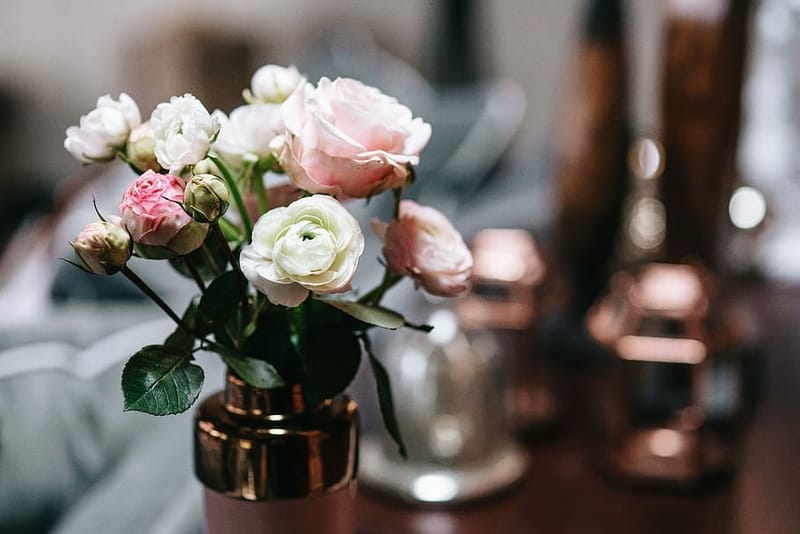 Wonderland and the Quest for the Best Local Florist in Singapore