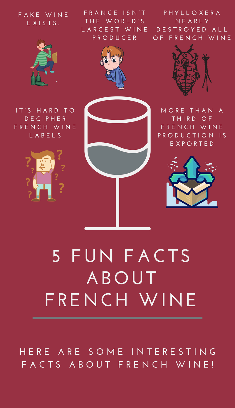 5 Fun Facts About French Wine