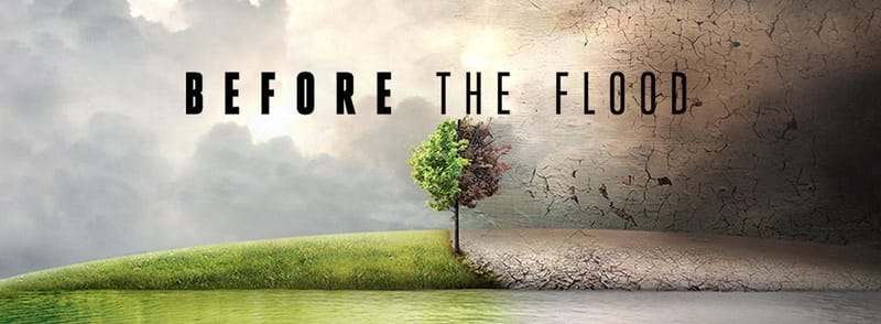 Dan D - "Before the Flood"