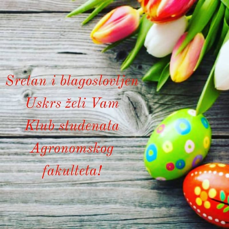 Dragi ljudi, sretan i blagoslovljen Uskrs, pun mira, sreće i ljubavi, želi Vam Klub studenata Agronomskog fakulteta. ❤🐇🐣