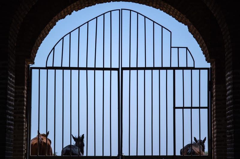 Pros and Cons: Automatic Gate