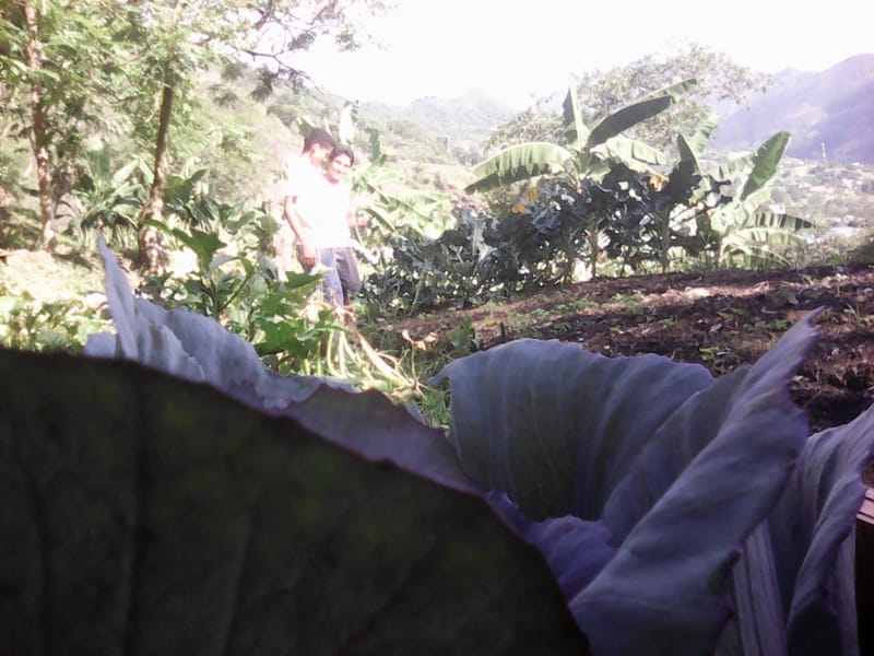 Actividad agropecuaria.