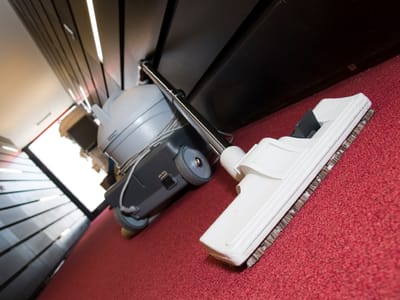 Professional Carpet Cleaning Services: What You Need to Know