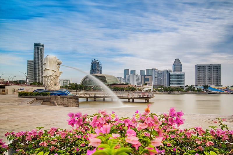 Do You Actually Need a Private Tour When Visiting Singapore?