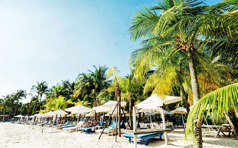 Beach Wedding Theme Ideas You Can Try