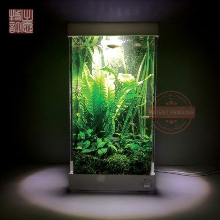 How to Keep Your Desktop Aquarium Clean?