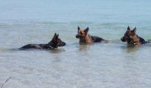 The Family Odin with Mum Fanta & Dad Keno