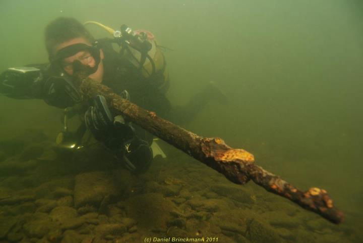 Flusstauchen in der Ruhr image