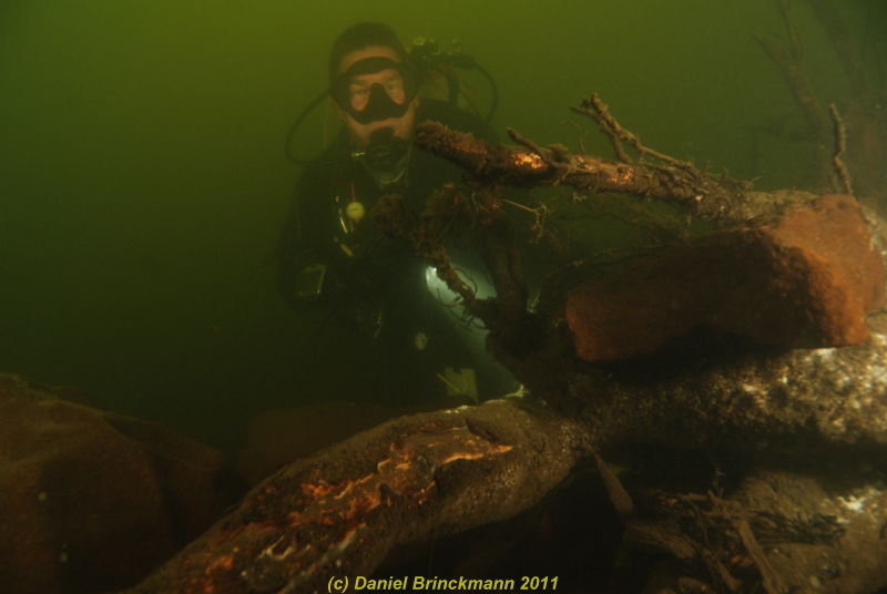 Flusstauchen in der Ruhr image