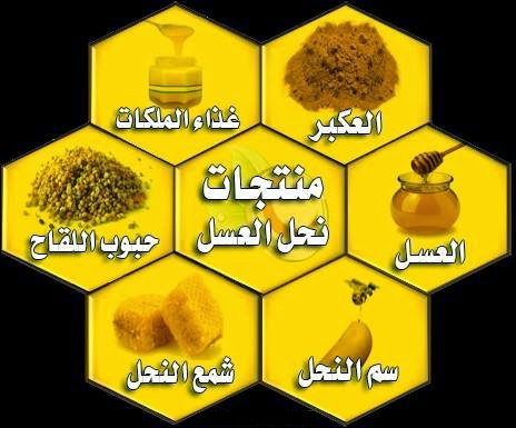 منتجات خلية النحل