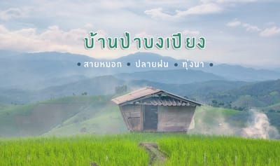 บ้านป่าบงเปียง Baan Pha Bong Pong