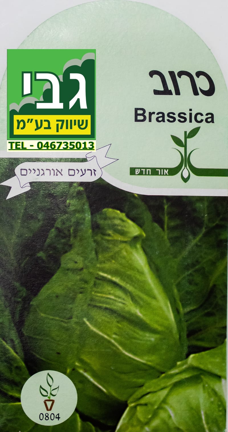 זרעי כרוב לבן - חפיסת זרעי כרוב לבן - מרכז הגינון של גבי שיווק