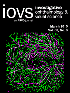 Dataset for Fluorescein Angiography (Video & Late Image) in DME eyes