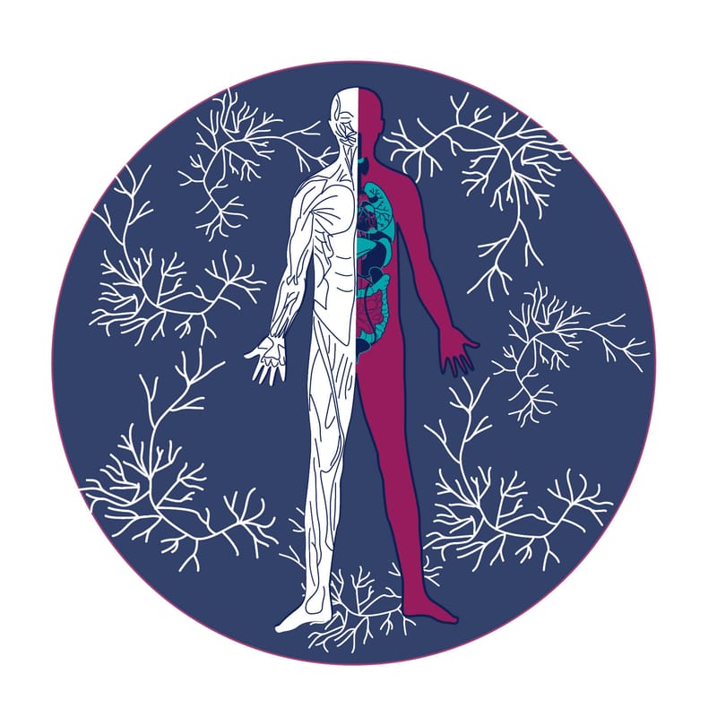 médecine générale