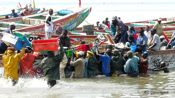 Afrique
