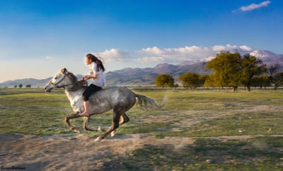 תובנות מאימון אסירים