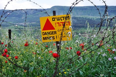 מוקשים בהורות