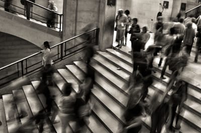 The Bullying Experiment