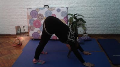 Adho Mukha  shavasana  image
