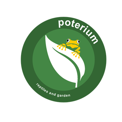 poterium