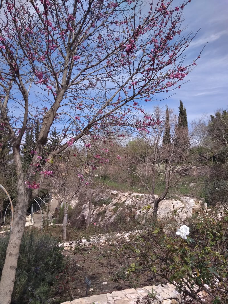 Une balade de printemps