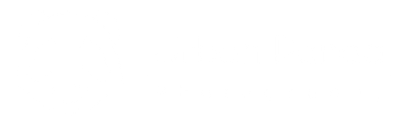 Urban Panda Photography