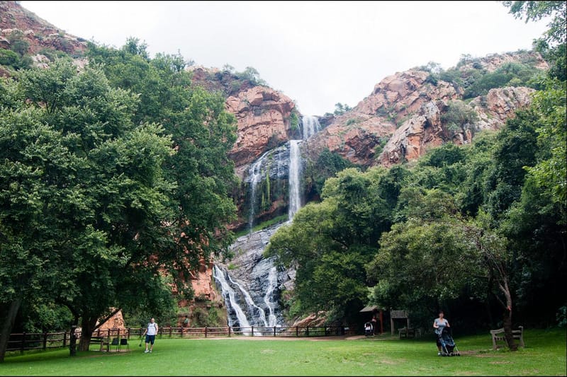 Walter Sisulu Botanical Gardens