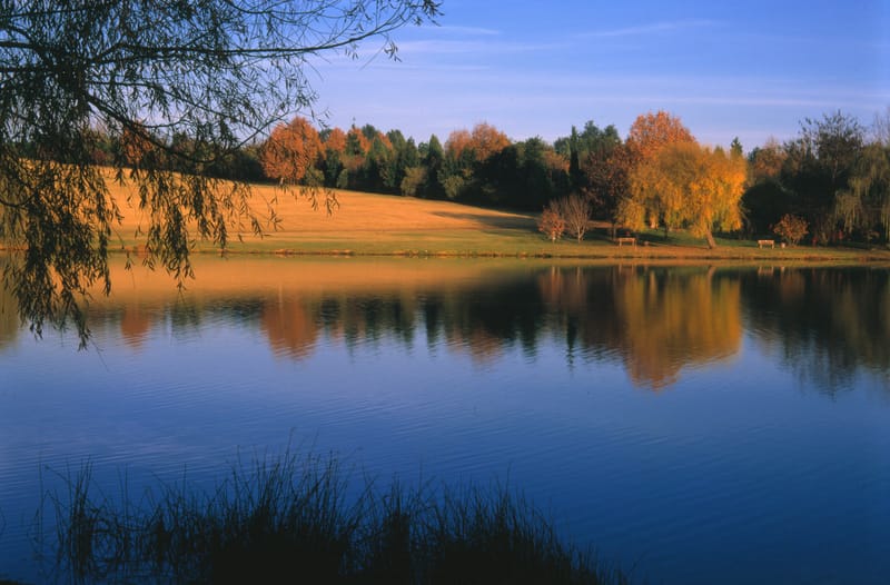 Emmarentia Dam
